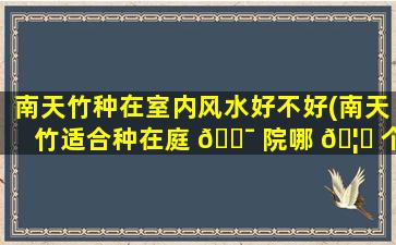 南天竹种在室内风水好不好(南天竹适合种在庭 🐯 院哪 🦅 个方位)